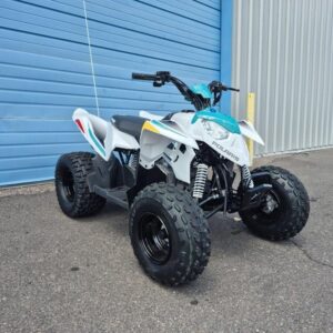 2025 Polaris Outlaw 110