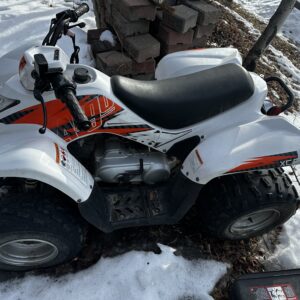 2022 Argo Xc90 90 Cc Kid Quad